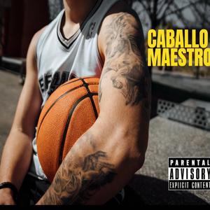 CABALLO MAESTRO