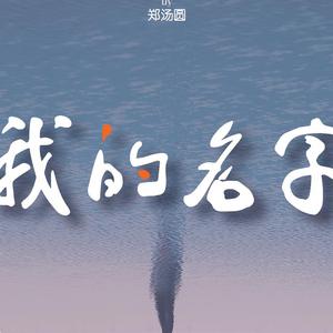 我的名字