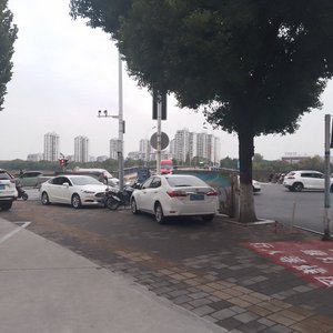 流浪（翻自 半阳）