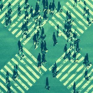 抚慰的学习回忆