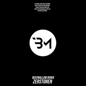 Zerstören (Remix)
