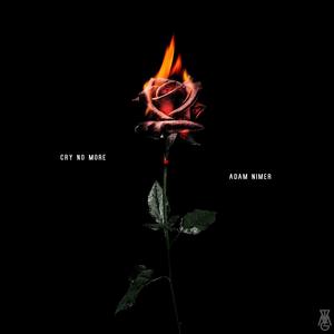 Cry No More