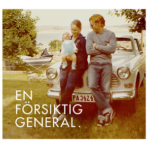 En tavla från Bohuslän