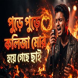 পুড়ে পুড়ে কলিজা মোর হয়ে গেছে চাই