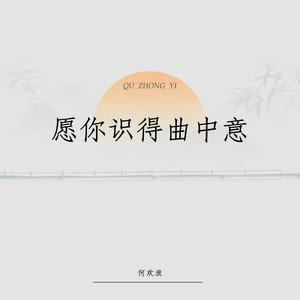 愿你识得曲中意