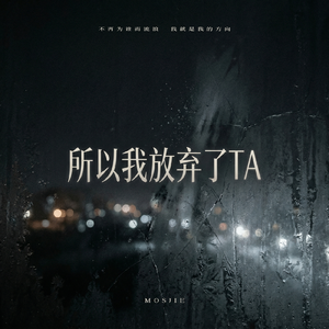 所以我放弃了TA