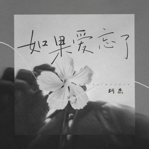 如果爱忘了（Live)