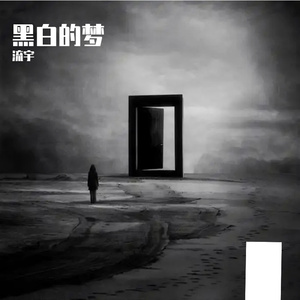 黑白的梦
