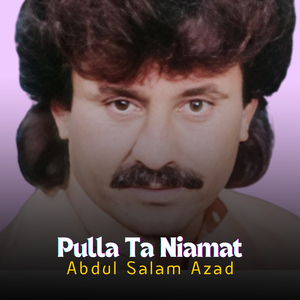 Pulinga Ustana Jageer