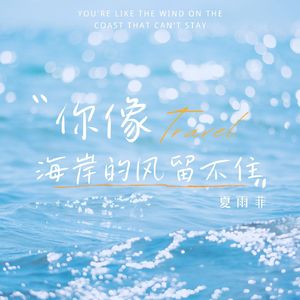 你像海岸的风留不住