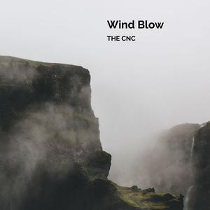 Wind Blow