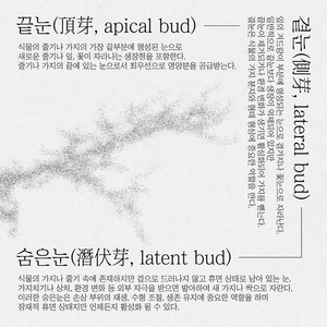 우리는 아직 꿈을 꾸며 방황하고 있죠