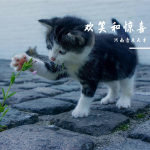 欢笑和惊喜prod.白昼星BZX