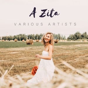 A lu mircatu (Li Canzunari)