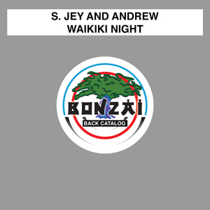 Waikiki Night