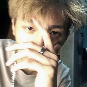 情不知所起一往而深