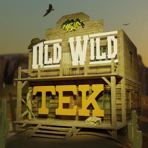 Old Wild Tek