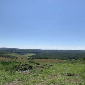 我想大声为你歌唱