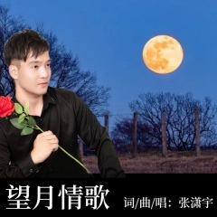 望月情歌