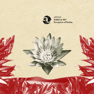 Perception of Reality (Original Mix)