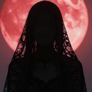 Transex Song