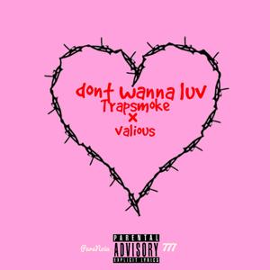 don't wanna luv