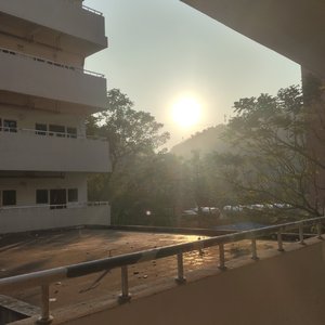 爱你老己