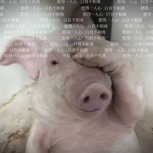 愿得一人心白首不相离