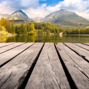 天鹅湖（治愈钢琴曲）