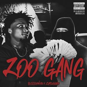 Zoo gang (feat. Zaydahavinshit)