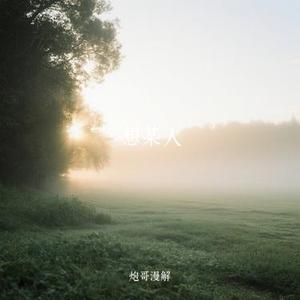 想某人 (Cover 王优秀)