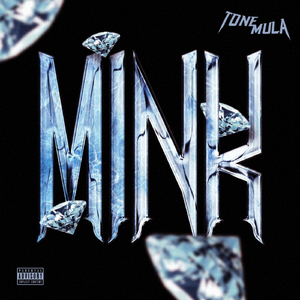 Mink