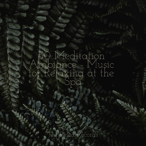 Harmonious Sunshine Journey