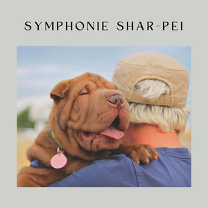 Un chien calme, Pt. 8