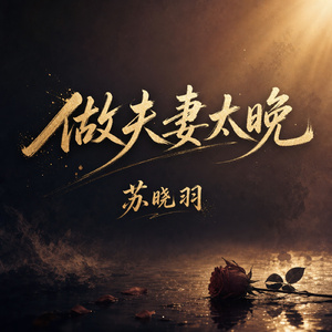做夫妻太晚