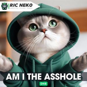 Am I the Ahole (DnB)
