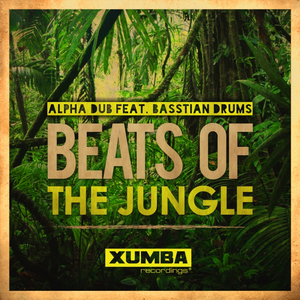Beats Of The Jungle (Original Mix)
