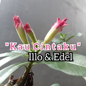 Kau Cintaku
