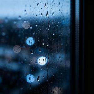 雨中