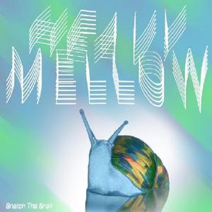 This Song Has No Name