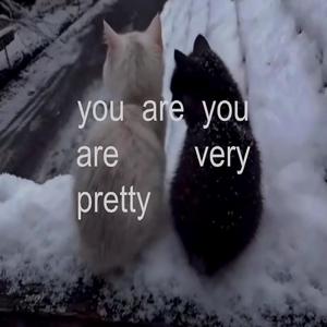 unhappy（you are very pretty）