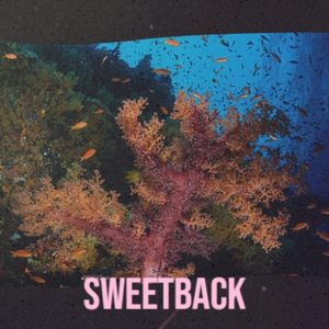 Sweetback