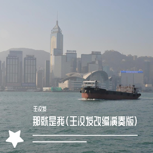 朱逢博演唱-那就是我(王汉发改编演奏版)（王汉发 remix）