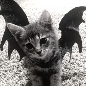 "Ron Artest" Osamason x Jumpout Type Beat