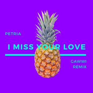 I miss your love (gawwi remix)