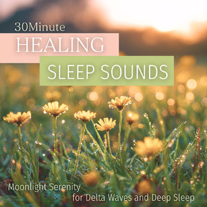 熟睡ギターBGM 睡眠の質を高めるヒーリング音楽 (自律神経を整える睡眠用 森 鳥)