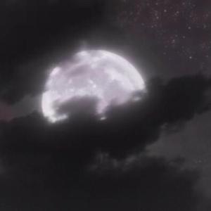 你爱世间万物我爱着你的demo