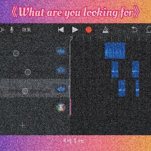 What are you looking for？