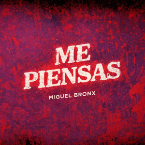 ME PIENSAS