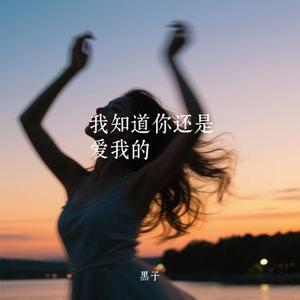 我知道你还是爱我的 (Remix)